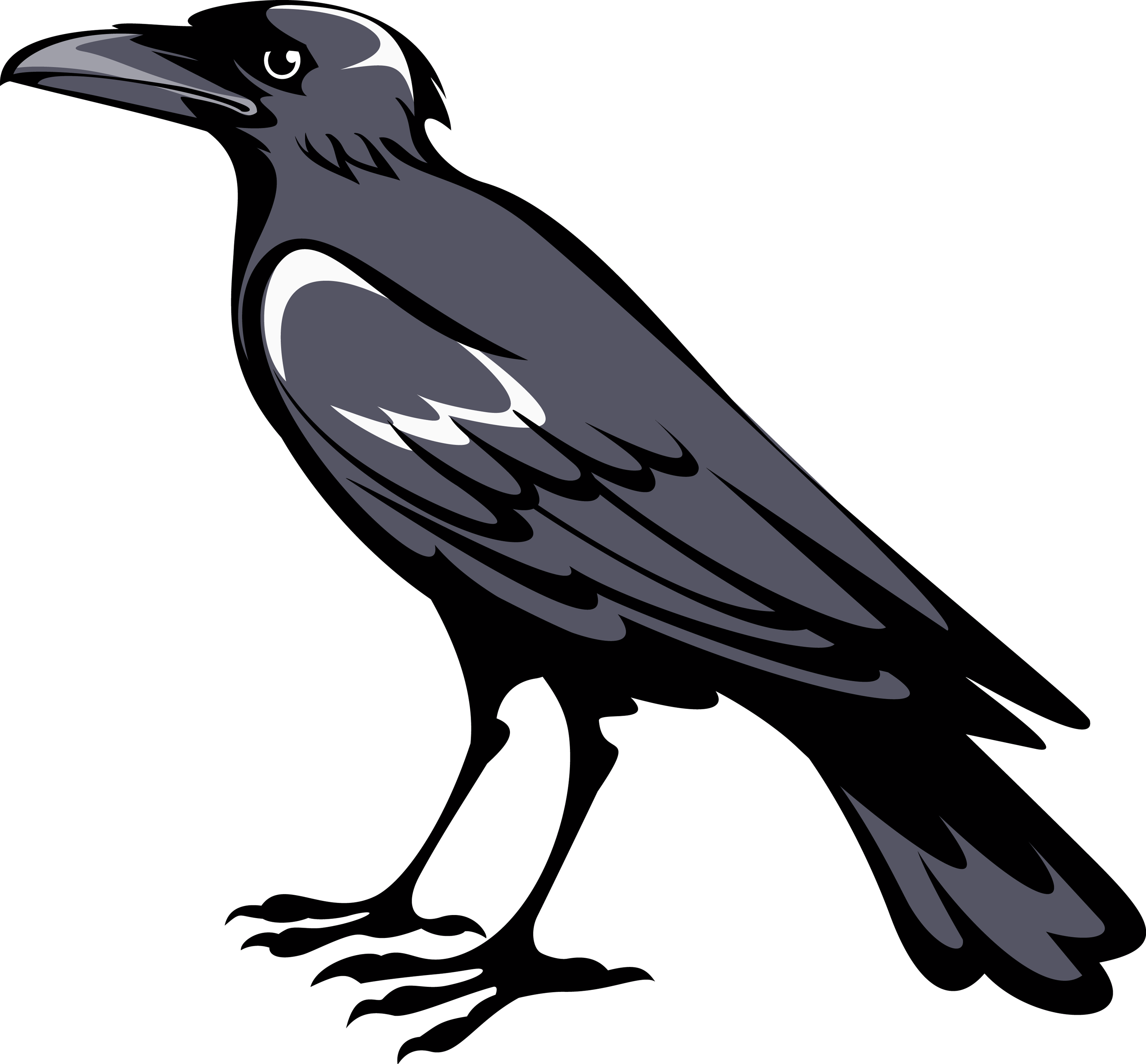 raven/crow